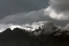 ForumImageNovembre2019-18