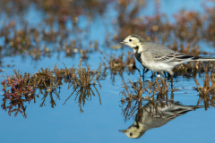 ForumImageNovembre2019-34