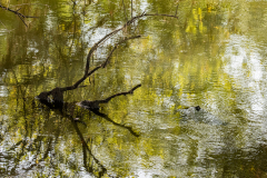 ForumImageOctobre2019-01