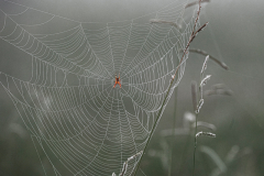 ForumImageOctobre2019-03