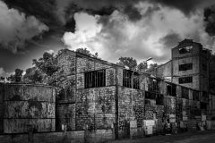 ForumImage-17