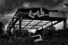 ForumImage-18