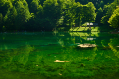 ForumImage-11