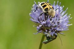 Aerophotoclub-ForumImageSeptembre2021-04